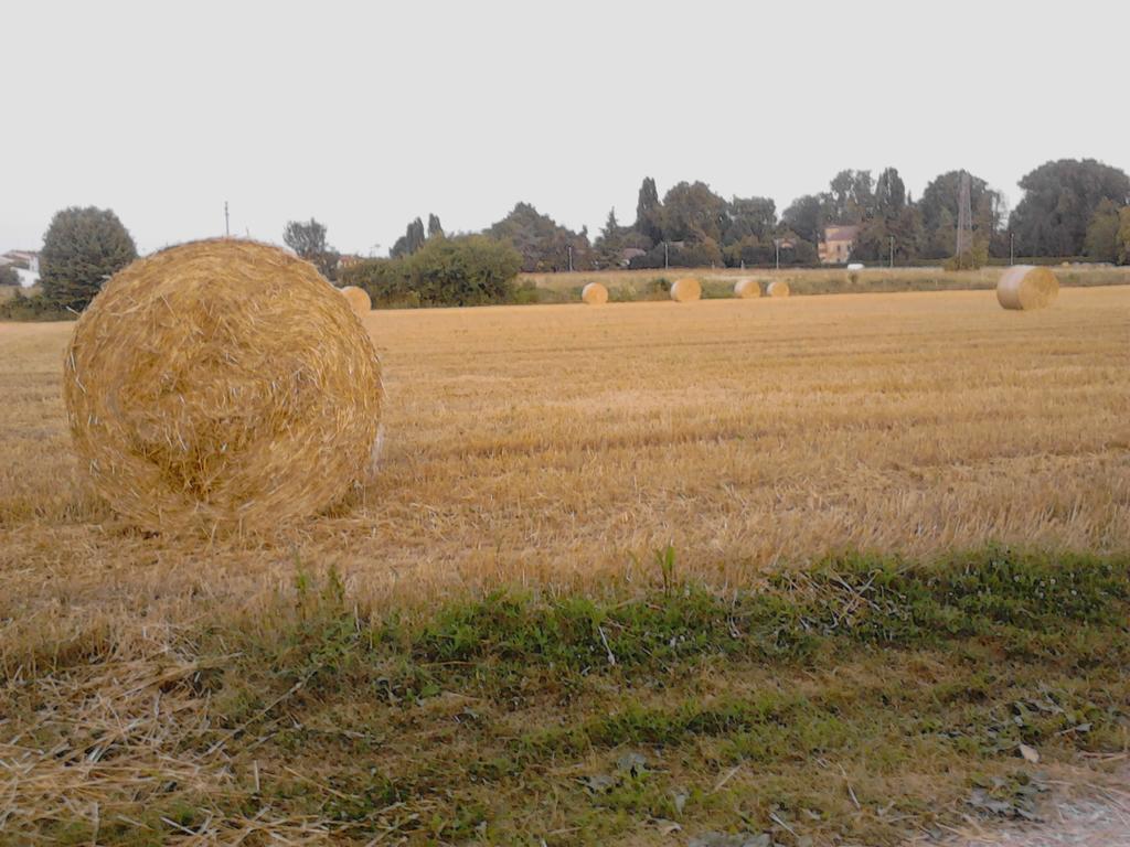 Green Fields Padova Eksteriør bilde