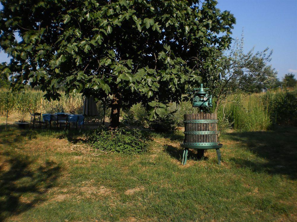 Green Fields Padova Eksteriør bilde
